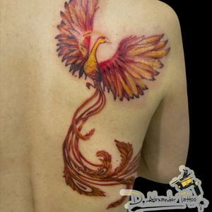 #ink #inkedgirl #tattoo #tattooed #phoenix #phoenixbird #phoenixbirdtattoo#colortattoo #fire #noregretstat #DumitruAlexanderTattoo #Cheyenne #worldfamousink