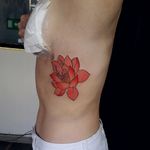 By @naokotattoo #japanesetattoo #japantattoo #fullcolor #traditionaltattoo #lotustattoo #flowertattoo #naokotattoo #inkedgirl #tattoodobabes