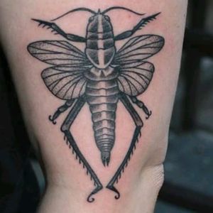 Grasshopper tattoo by @danielle_chisholm_tattoo
