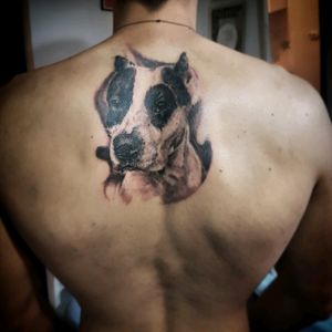 #tattoo #tattooing #tattoo2me #dogtattoo #dogportait #blackandgreytattoo #realistictattoo