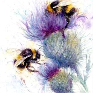 Found this beauty online#bee # thistle # watercolour # watercolor