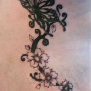 Butterfly and black vine with cherry blossom.