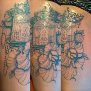Bird, bird cage, and flowers in blue first ever outline in blue.