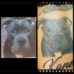 #realism #tattoorealism #realismartist #realismartists #realistictattoo #realistictattoos #pitbull #dogportrait #greyscale