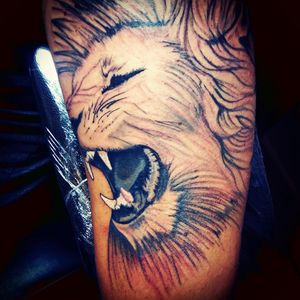 #realism #tattoorealism #realismartist #realismartists #realistictattoo #realistictattoos #lion #liontattoo #liontattoos