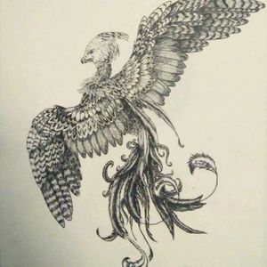 #PhoenixTattoos  #phoenix #tattoo #tattoodesing #ink #bird