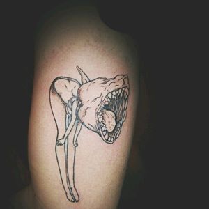 #tattooart #tattooartist #tattooodessa #veter #fun #graphic #graphictattoo #linework #linetattoo #blackink #blackart #blackwork #funtattoos #fungirl #shark #sharkhead