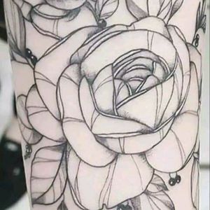 #fineline #rose #roses #black #arm #frau #tattooed #inled #inked #dreamtattoo #mindblowing #Intenzetattooink #cheyennetattooequipment #Cheyenne #follow #artist #mone1971