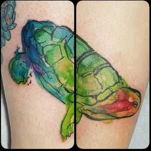 Done by Melissa Kirbyson out of Honour Bound Tattoos in Calgary#watercolortattoo #turtletattoo 