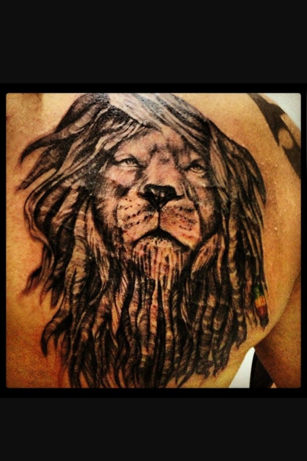 14 Tattoos of lions with dreads ideas  lion tattoo tattoos rasta lion