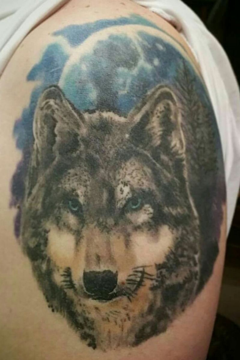 Tattoo uploaded by Вадим • Татуировка - Волк. Зажившая работа, 2 нода ...