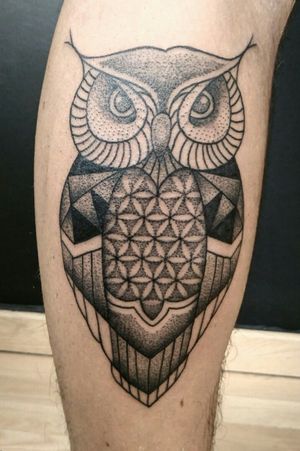 Dotwork owl