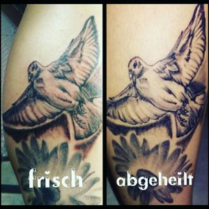 #abgeheilt #taube #erinnerung #opa #züchter #cheyene #black #blackgrey#frau #mystisch #inked #tattooedwoman #tattooedgirl #tattooed #tattoist#tattoo #inked #inkgirl #inked#farbe #follower #follow#followforfollow #intenzpride #cheyenehawk #eternal #dreamtattoo #mindblowing #mone1971 