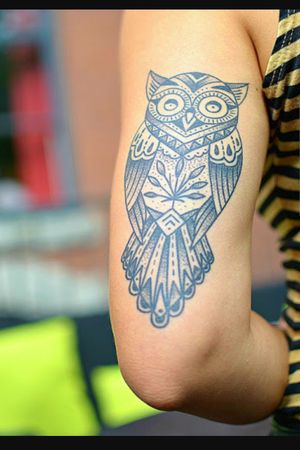 #owl#owltattoo 