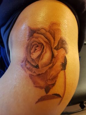 Tattoo Rose #blackandwhite #tattoo #inkedgirls #rosetattoo #artist #art #artwork #foottattoo #flowertattoo #rose #rosetattoo #realistictattoo  #tattooartist #tattoed #tattoedgirl