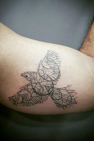 Bird... Lines... Fredoon... Obrigada Igor... Curti bastante fazer...#birdtattoo #vivianferreira #lines #blackworktattoo #brasil #carioca #tattoodo #tatuadoresbrasileiros #tattooyou #lifestyle