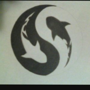 Shark yin and yang