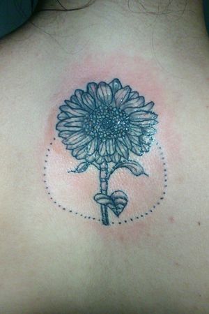 #tattoo #flower #girassol #tatuagem #blackandgreytattoo #aprenticetattooist #tattoer