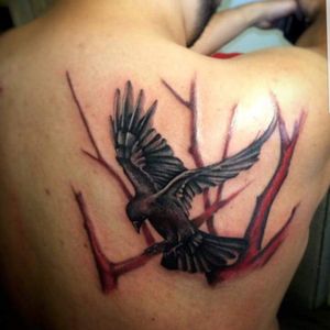 #Crow Tatto