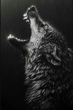 #wolf #howl #husky #dog #grey #blackandgrey 