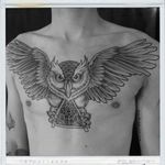 #owl #owltattoo #TATTOOOWL #tattoobird #chestpiece #birdman