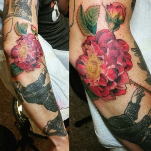 Patrick's #wildirishrose is his first #fullcolor tattoo to complement his mostly#blackwork collection. I've also tattooed the majority of his work, including the rest of the work pictured. #strancitattooandpiercing #clevelandtattooers #botanicaltattoo #tattoooftheday 