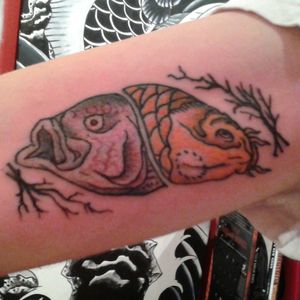 Striped Bass and Koi Carp by @baznjosh #oldschool#inked#tattooideas#newtattoo#freshink#tattoooftheday#nautical#koi#fishtattoo#bass#yinyang#customdesign#eastvillage#tattoo#nyc