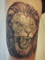 Andy's #blackandgrey #lionportrait on his thigh. #clevelandtattooers #strancitattooandpiercing #2ndsession 
