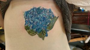 #watercolor #flower #hydrangea #blue #ribtattoo #firstattoo #ouch 