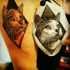 Tatuagem gato realismo!! Whatsapp 61 99902-5762 #tattoobsb #tattoobrasil #tattoorealism #cat #gatotattoo 