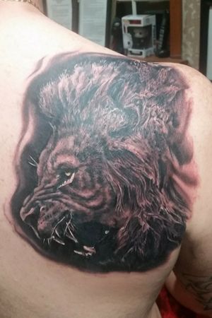 Lion Head by John Lally