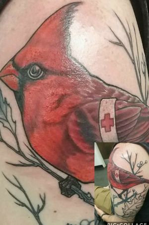 #birds #cardinal #redcross #fullcolor #animaltattoo #birdtattoo #colortattoo #realismtattoo 