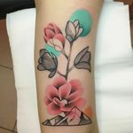 By #MariuszTrubisz #Magnolia #flowers #floral 