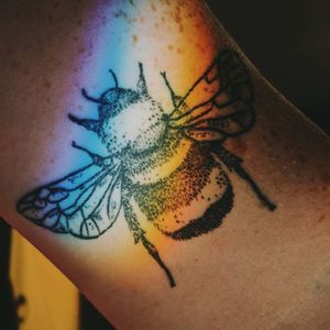 Bee by Charlotte Lee