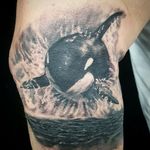 Tattoo Artist : Alexvividart 📧 Alexvividart@gmail.com 🇨🇦 Vancouver Canada #blackandgrey #tattoo #bng #killerwhale #tattoos #blackandgreytattoos #tattooartist 
