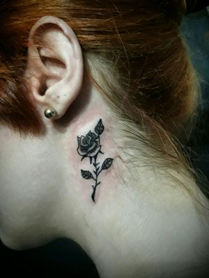 Minimalist rose. Rosa minimalista por Jimmy Martins 