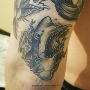 Зажившая татуировка - акула. Больше чем полгода спустя. Студия художнственной татуировки и пирсинга Evolution. www.evotattoo.ru. Тел./WhatsApp: 8(925)5143553. #tattoos #shark #tattoo #sharks_tattoos #tattoo_salon #тату #тату_фото #татуировки #татуировка #акула #тату_акула #студия_тату #татуировка_акула #черно_белые_тату #салон_татуировок #где_сделать_тату #тату_салон_севастопольский_проспект #татуировки_новые_черемушки #татуировки_юзао #тату_салон_москва @tat2atom