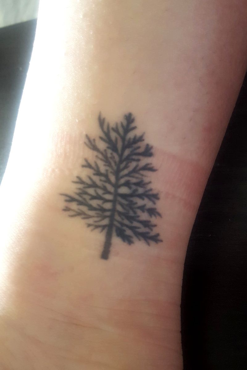 Tattoo uploaded by Taylor Saucier • Ankle Tree • Tattoodo