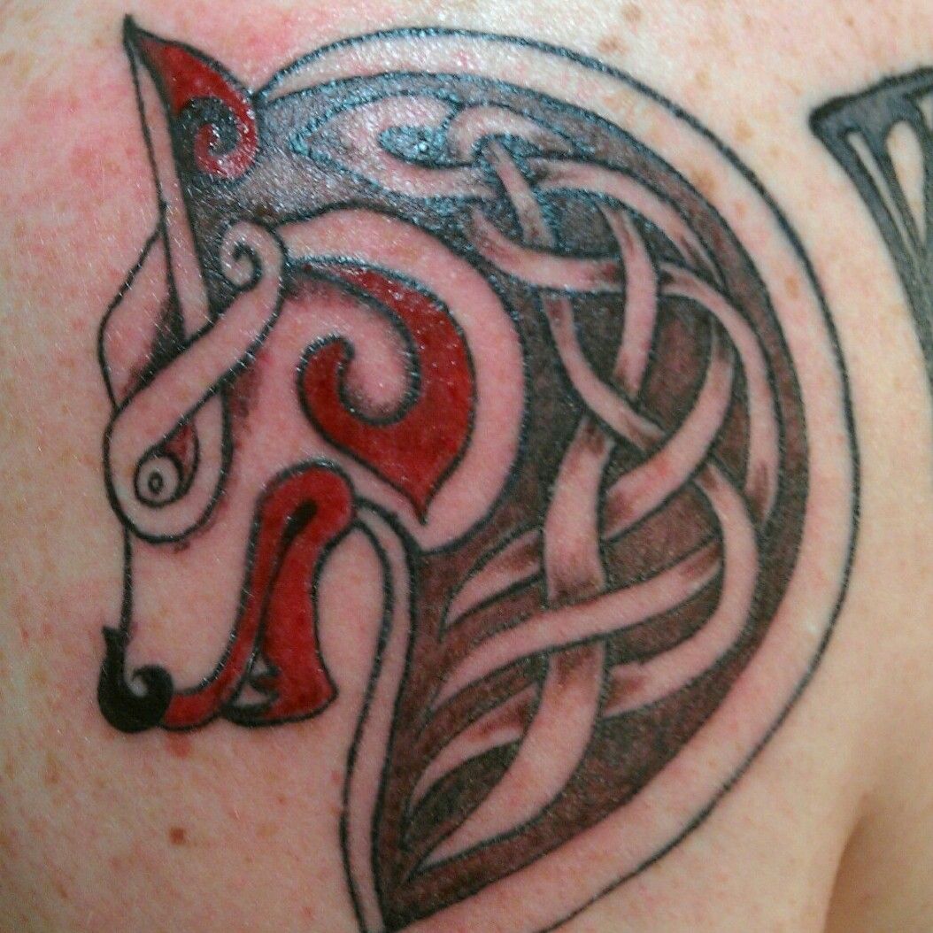 Image result for Irish Wolf Tattoo Designs  Wolf tattoo design Hình xăm  Ý tưởng hình xăm