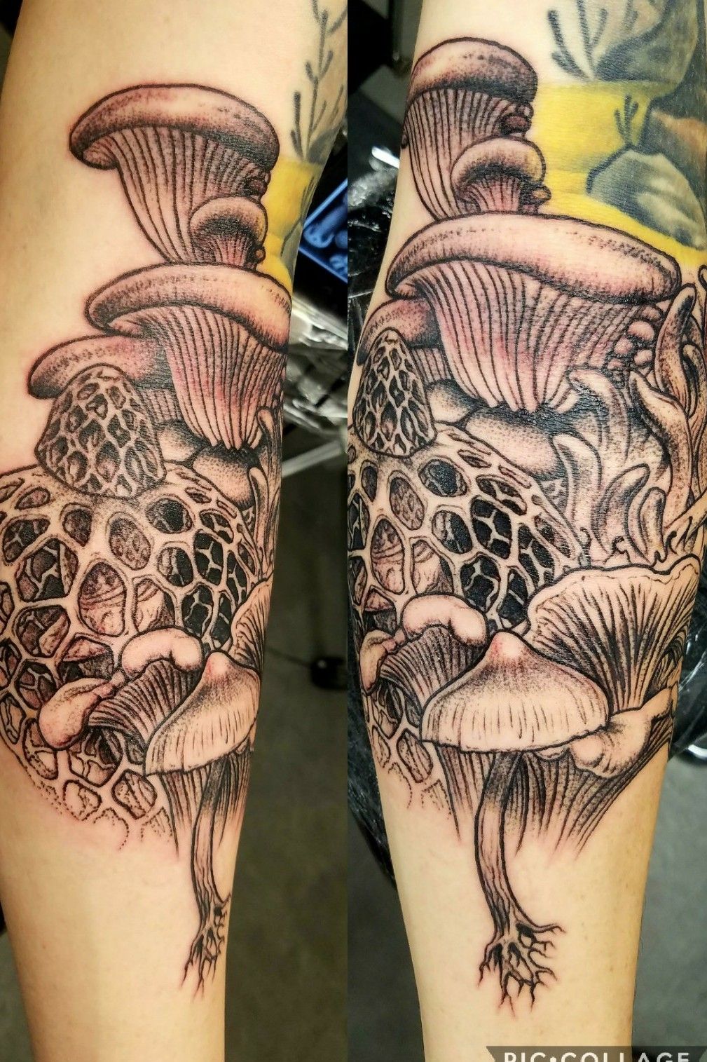 Fairy And Mushroom Tattoos on Half Sleeve