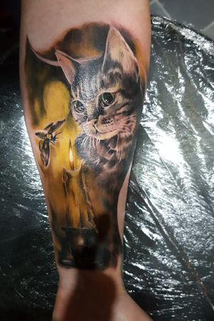 Cat by candlelight by Casi Worrall Heart & Arrow Tattoo Studio #cat #cattattoos #cattattoo #kitty #kittycat #moth #sepia 