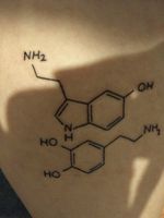 My first tattoo, upper thigh placement, serotonin on top, dopamine on bottom, in school to be a neurologist