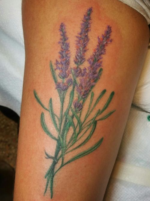 Bre's #lavender sprigs on her triceps. #delicatetattoos #clevelandtattooers #strancitattooandpiercing