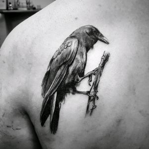 #blackandgrey #tattoo #ink #inked #raven #ravens #raventattoo #crow  #birdtattoo #tattoos #art #naturetattoo #realistictattoo #realism #realistic #artist #tattooart