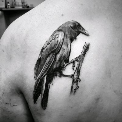 Top 250 Best Raven Tattoos (2022) • Tattoodo