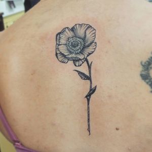 Tattoo by Stranci Tattoo & Piercing Co.