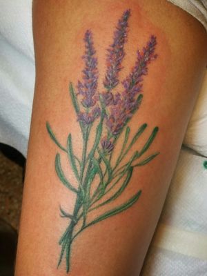 #delicatetattoo of #lavender sprigs on Bre's #triceps