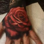 Done by Angel Mitov - Guest Artist #guestartist#tat #tatt #tattoo #tattoos #tattooart #tattooartist #realistic #realistictattoo #color #colortattoo #rose #rosetattoo #beautifultattoo #ink #inked #inkedup #inklife #inklovers #amazingink #amazingtattoo #arttattoo #art #handtattoo #gorinchem