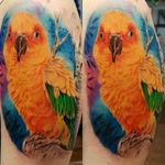 Memorial parrot tattoo