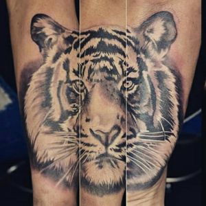 Tiger head wrapped around the forearm #tiger #tigertattoo #tigerhead #TigerHeadTattoo #blackandgrey #wildlife #eyeofthetiger 